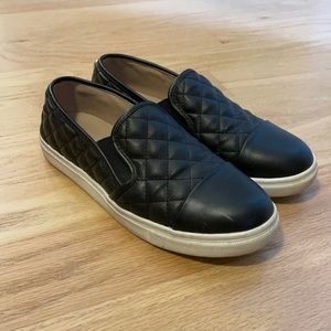 Black and White Steve Madden Ecentrcq Sneakers